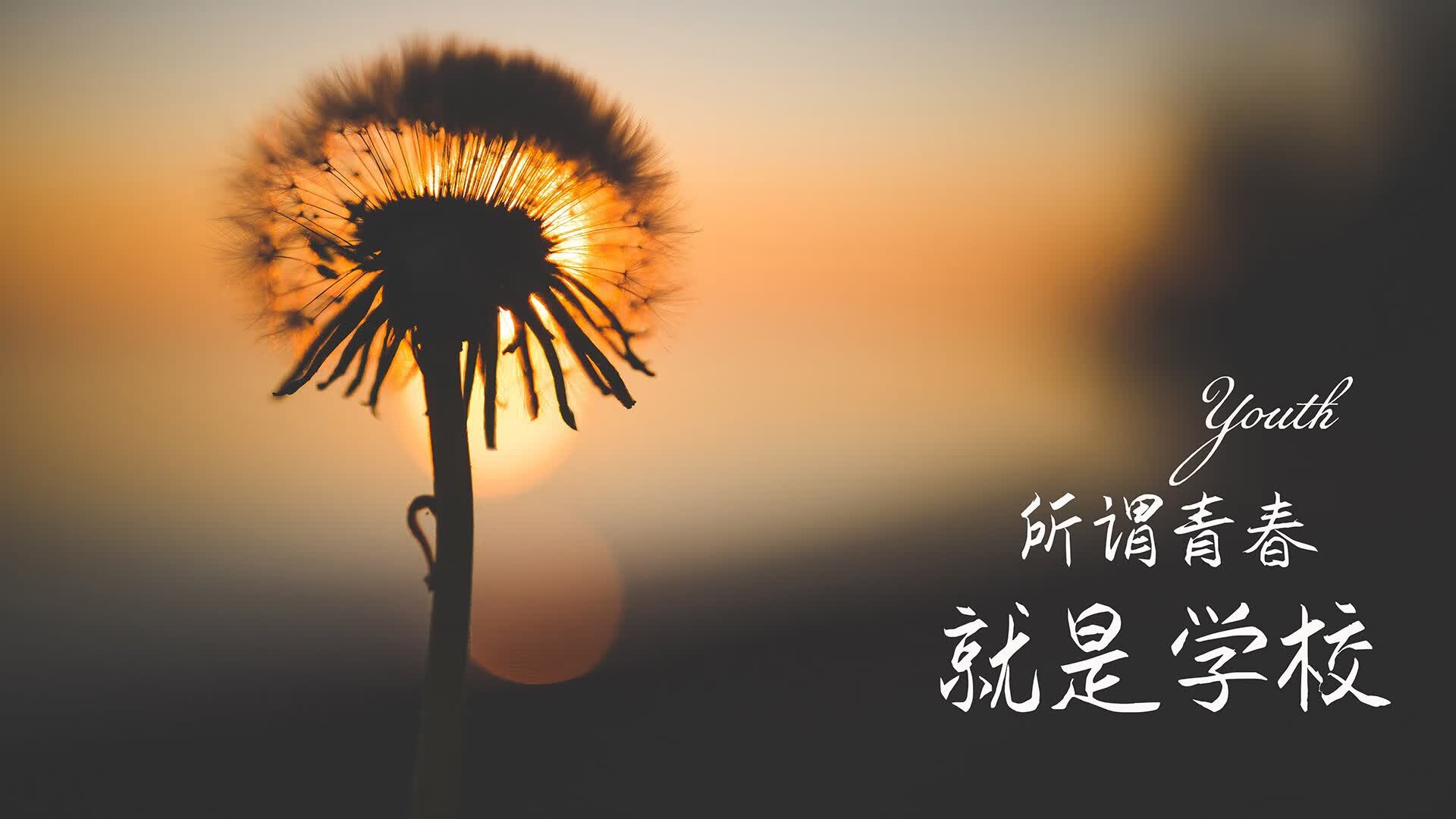 2026 职场男性健身指南：为什么“动态平衡训练”比“硬拉”更适合久坐族？